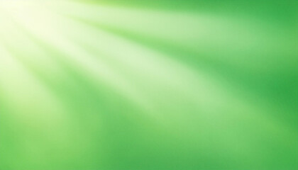 Fototapeta premium Horizontal airy light green background gradient texture background, delicate white rays of light, banner