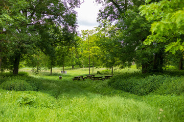 A secluded picnic area nestled within a lush, green woodland in Chalette-sur-Loing, France