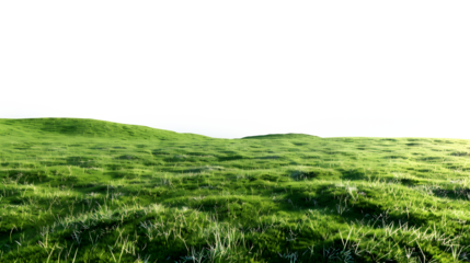 Green meadow isolated on transparent background.