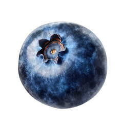 Single blueberry with a plump