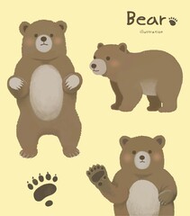 Cute bear animal hand drawn illustration set