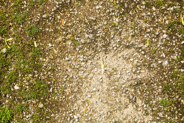 Close-Up of Gravelly Ground with Green Grass