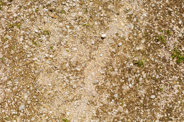 Rocky Soil Texture with Sparse Greenery