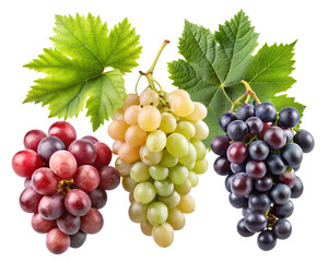 Fototapeta premium red and green grapes isolated on transparent background png