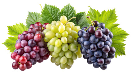 Fototapeta premium red and green grapes isolated on transparent background png