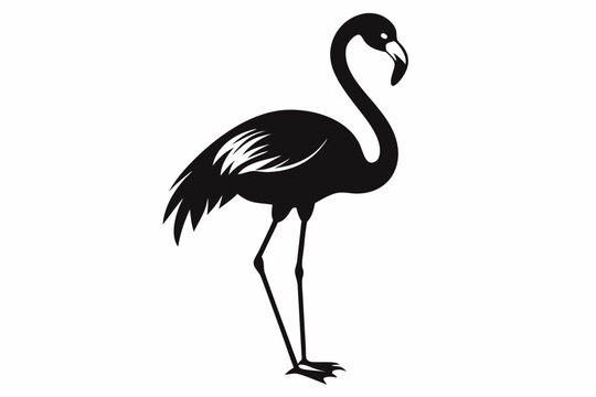 recommend clip art: flamingo vector silhouette, Vector black flamingo silhouette, Black silhouette of tropical bird flamingo