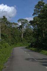 Penetration routes in the state of Miranda, Venezuela.
Roads, bridges, even suspension bridges! All...