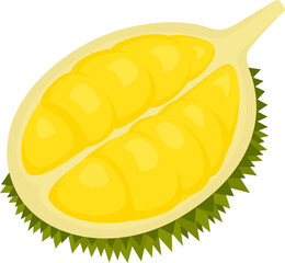 Sliced Durian Fruit Illustration