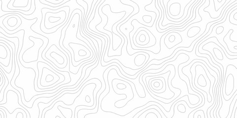 Vector seamless wave stripe topography map pattern camping grid cartography diagram black and white geometric carve wave line. abstract landscape topography line map wavy texture design background.