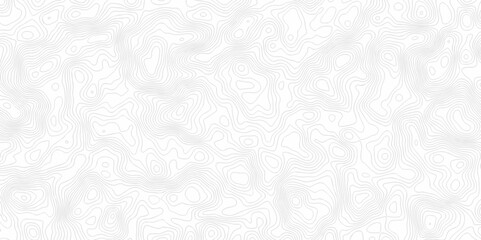 Vector seamless wave stripe topography map pattern camping grid cartography diagram black and white geometric carve wave line. abstract landscape topography line map wavy texture design background.