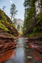 Red rock canyon in Waterton lakes National Park