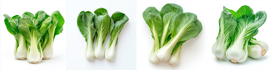 Bok choy on white background. Isolated. Chinese cabbage