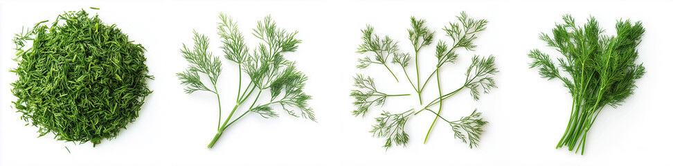 Fresh Dill Bundles and Herb Piles. Organic Dill Herb Display, Perfect for Culinary Uses, Green and Vibrant, Fresh from Farm to Table.