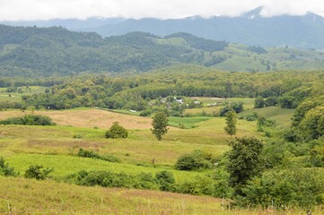  landscape of corn field in the mountain