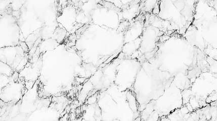 Obraz premium This is a classy, seamless pattern featuring beautiful white marble that showcases exquisite veining. It is ideal for various designs, backgrounds, and stylish, elegant surfaces in any setting
