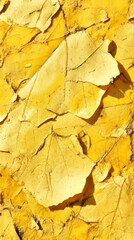 The natural texture of wax yellow presents a unique natural beauty. In nature, yellow is often found on fallen leaves, bark, soil and some rock surfaces, presenting a warm and calm atmosphere.
