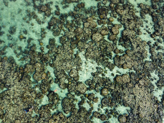 Aerial view of coral reef and turquoise water of Koh Lipe, Satun, Thailand. Tropical texture; summer, holiday, beach and environmental conservation concepts