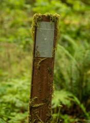 Fog Grows on Wooden Trail Marker Post