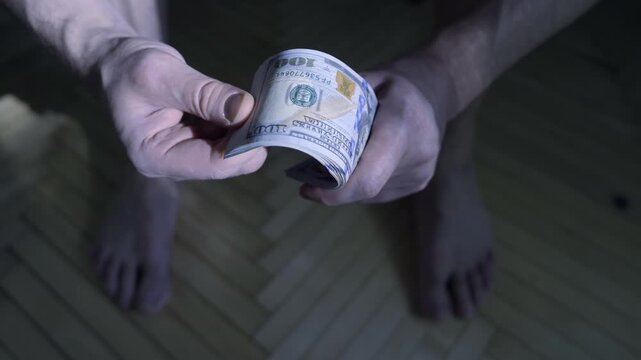 Shadowy Enumeration of Prosperity: Capturing the Twilight Counting of Dollar Bills