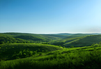 Obraz premium landscape with green grass and blue sky