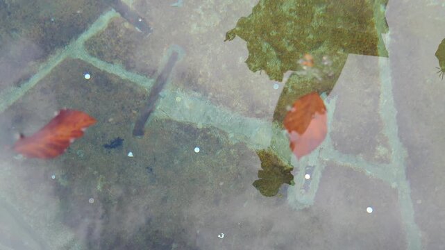 Coins underwater at the bottom of a wishing well