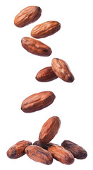 Obraz premium Cocoa beans are falling on a pile on a white background. Isolated