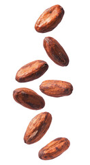 Obraz premium Cocoa beans are falling on a pile on a white background. Isolated