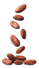 Obraz premium Cocoa beans are falling on a pile on a white background. Isolated