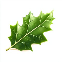 vector graphic of a holly plant leaf