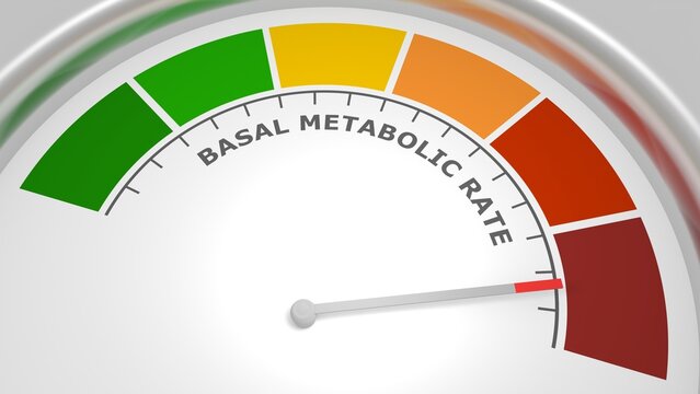 Basal metabolic rate abstract measuring device. Meter scale with arrow. 3D render