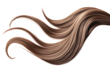 Brown hair isolated on white background. Long wavy ponytail