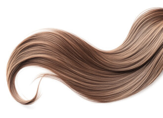 Brown hair isolated on white background. Long wavy ponytail
