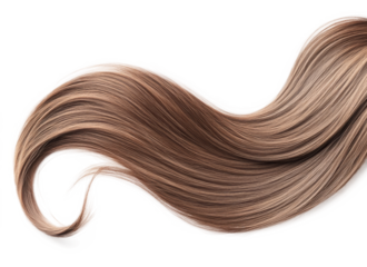 Brown hair isolated on white background. Long wavy ponytail