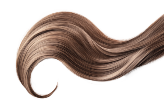 Brown hair isolated on white background. Long wavy ponytail