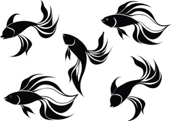 Angel fish vector illustration 