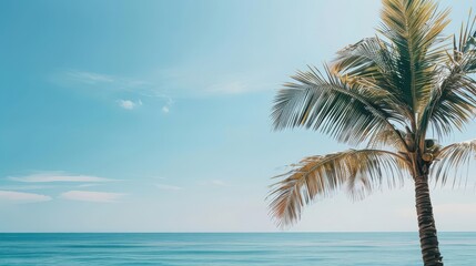 Obraz premium A gentle summer breeze blowing through a beachside palm tree, with the sea in the background, summer sea, relaxation, tropical vibes