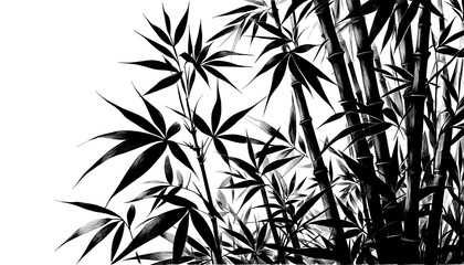 Bamboo silhouette isolated on transparent background