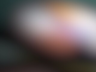 A blurred, abstract background with a gradient of dark to light colors, creating a soft and dreamy atmosphere