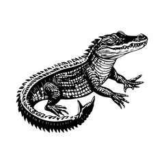 Obraz premium black and white animal vector types of animals about animals