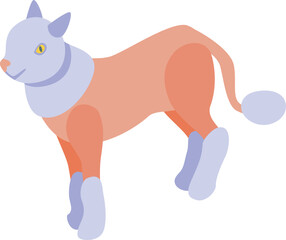 Illustration of a cute sphynx cat wearing clothes walking in isometric view