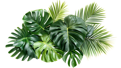 Tropical Greenery Arrangement - High-Resolution Image of Lush Monstera and Palm Leaves