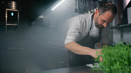 Chef Working Behind A Herb Plant
