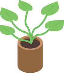 Green plant growing in a pot is giving a fresh and natural impression, perfect for design element of home decoration