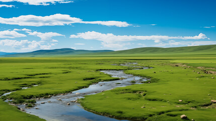 Summer's Embrace: The Kashgar Grasslands Bathed in Sunlight