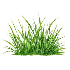 the AI Image Generator, resolution image of fresh green grass with