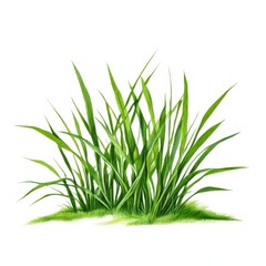 Fototapeta premium the AI Image Generator, resolution image of fresh green grass with