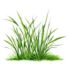 the AI Image Generator, resolution image of fresh green grass with
