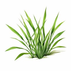 Obraz premium the AI Image Generator, resolution image of fresh green grass with