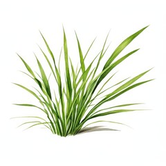 Obraz premium the AI Image Generator, resolution image of fresh green grass with