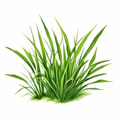 Fototapeta premium the AI Image Generator, resolution image of fresh green grass with